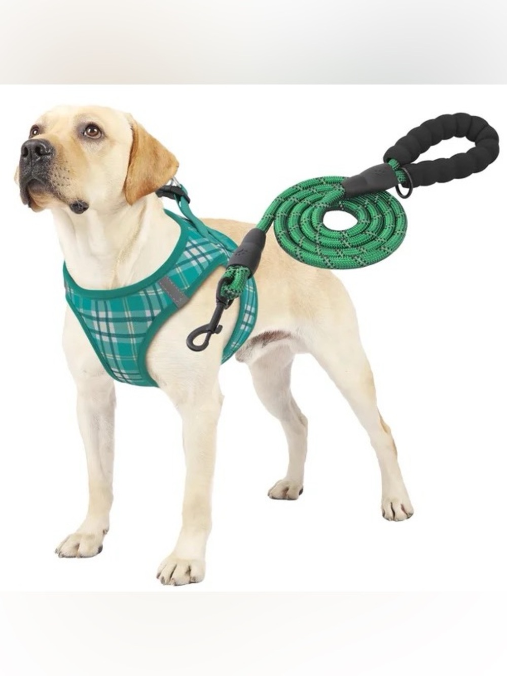 Teal Plaid Dog Harness and Rope Leash Set - Durable Comfort for Daily Walks🐾🌟💚